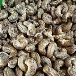 Hạt điều